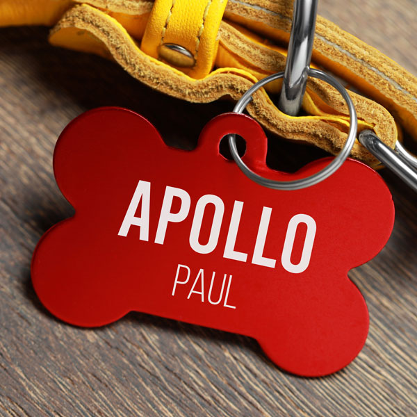 Diode laser project: personalized dog tag